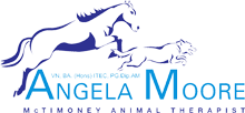 Animal McTimoney logo